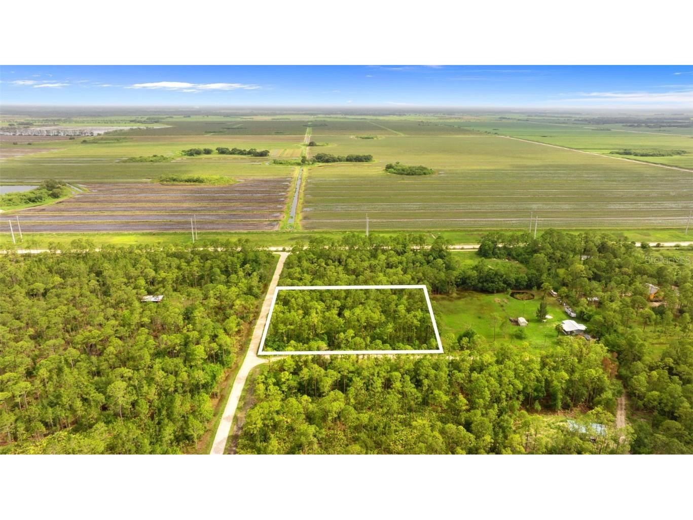 801 Yeehaw Avenue Clewiston FL 33440 P4933573 image8