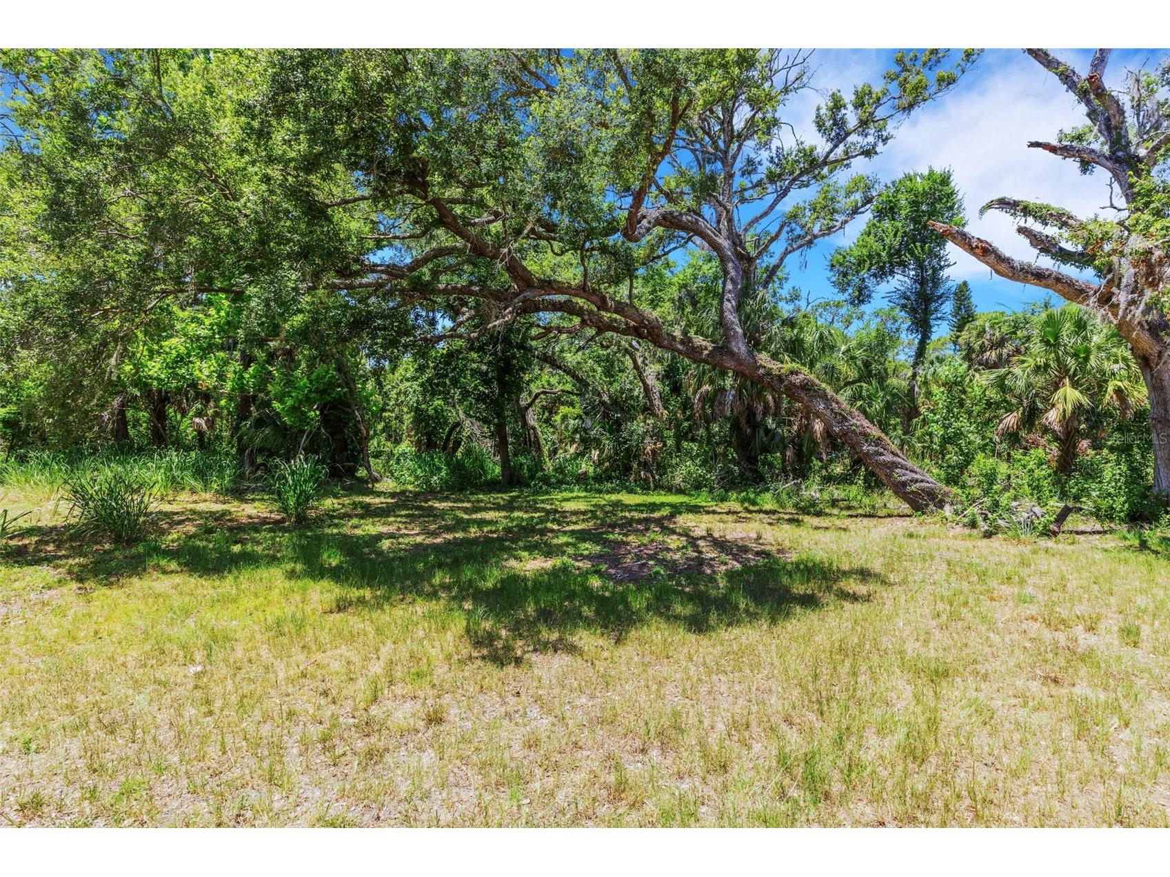 8010 Brower Drive Bradenton FL 34211 A4695849 image35