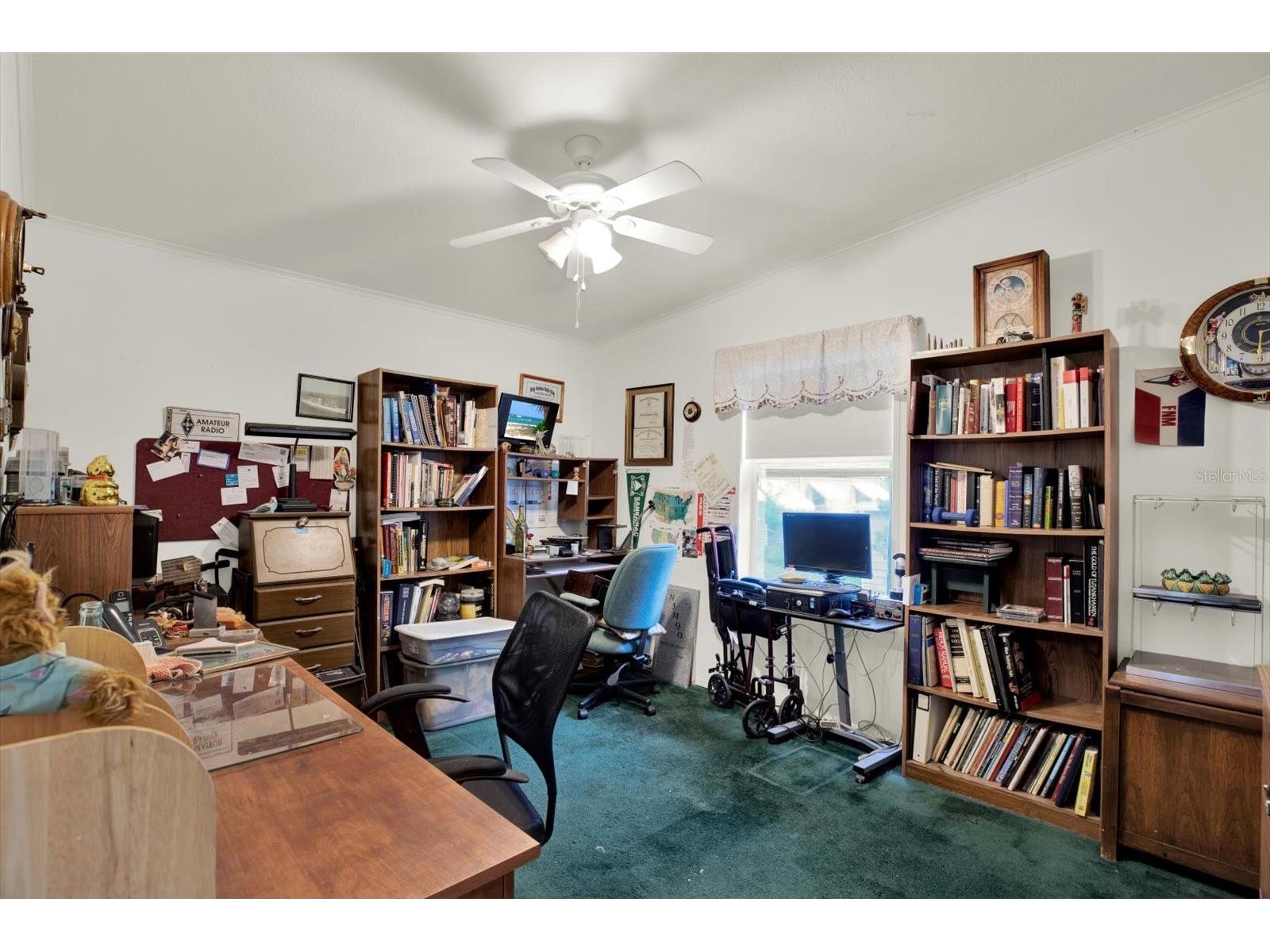 8010 Cedar Cove Avenue Brooksville FL 34613 W7885971 image14