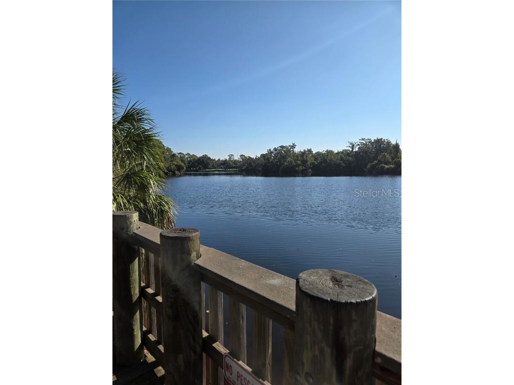 8010 Conservatory Drive Sarasota FL 34243 A4673942 image44