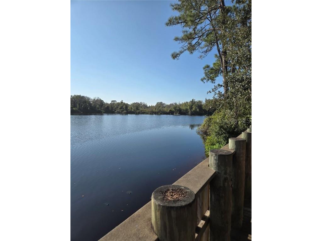 8010 Conservatory Drive Sarasota FL 34243 A4673942 image45