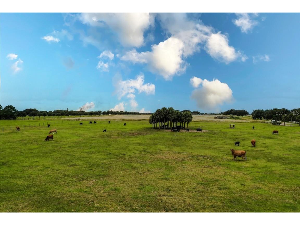 8010 Lake Lowery Road Haines City FL 33844 - LAKE LOWERY P4936424 image12