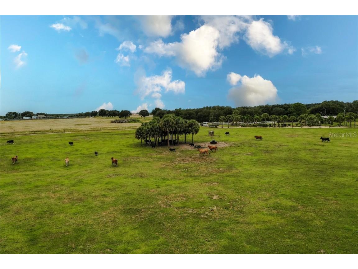 8010 Lake Lowery Road Haines City FL 33844 - LAKE LOWERY P4936424 image17