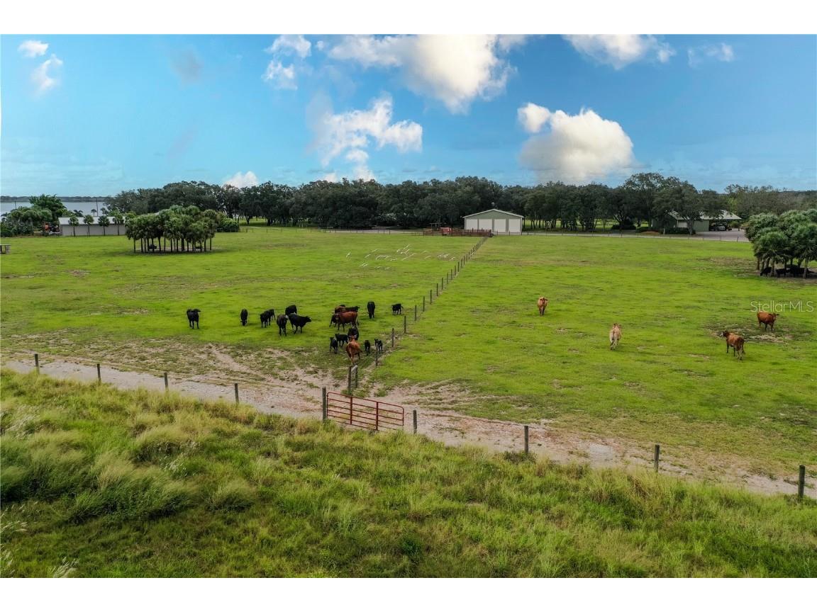 8010 Lake Lowery Road Haines City FL 33844 - LAKE LOWERY P4936424 image18