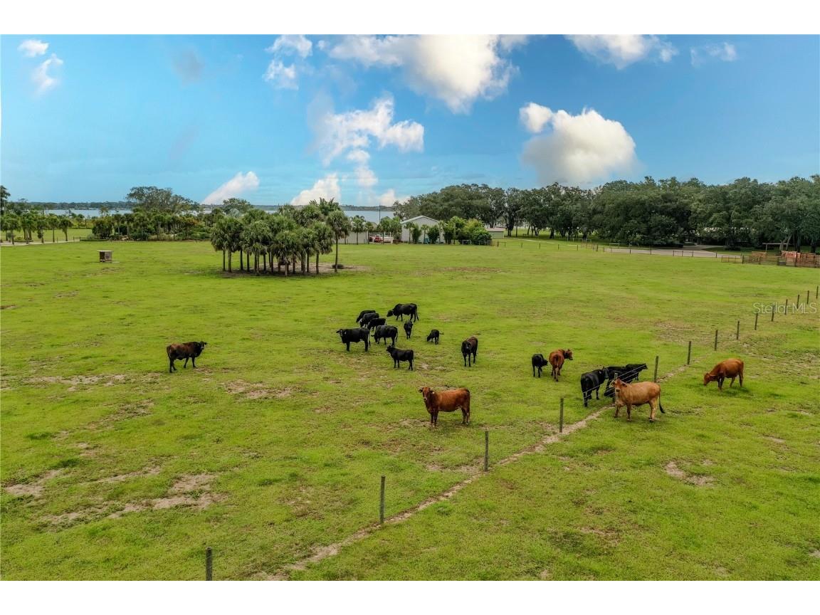 8010 Lake Lowery Road Haines City FL 33844 - LAKE LOWERY P4936424 image21