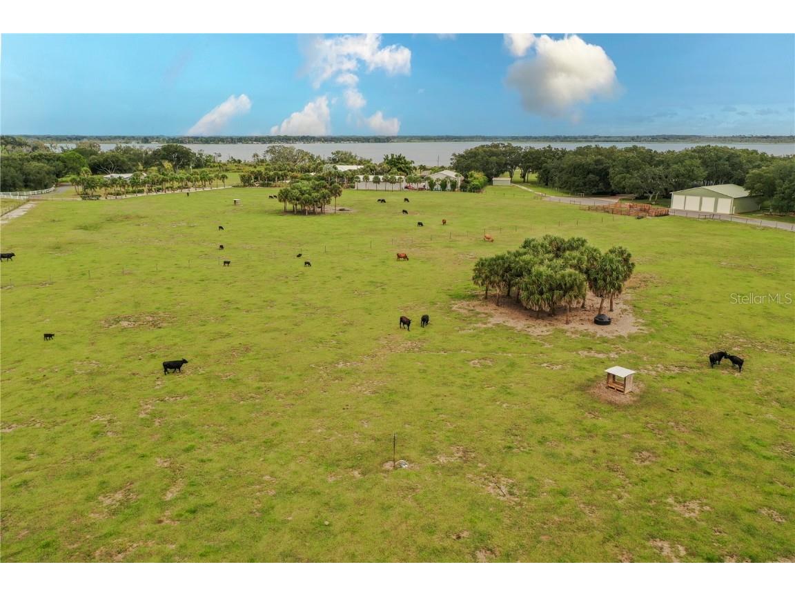 8010 Lake Lowery Road Haines City FL 33844 - LAKE LOWERY P4936424 image4