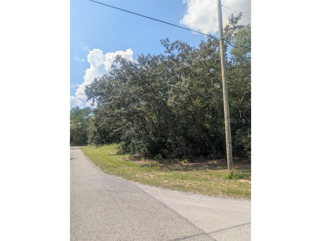 8010 N Primrose Drive Citrus Springs FL 34434 OM710103 image10