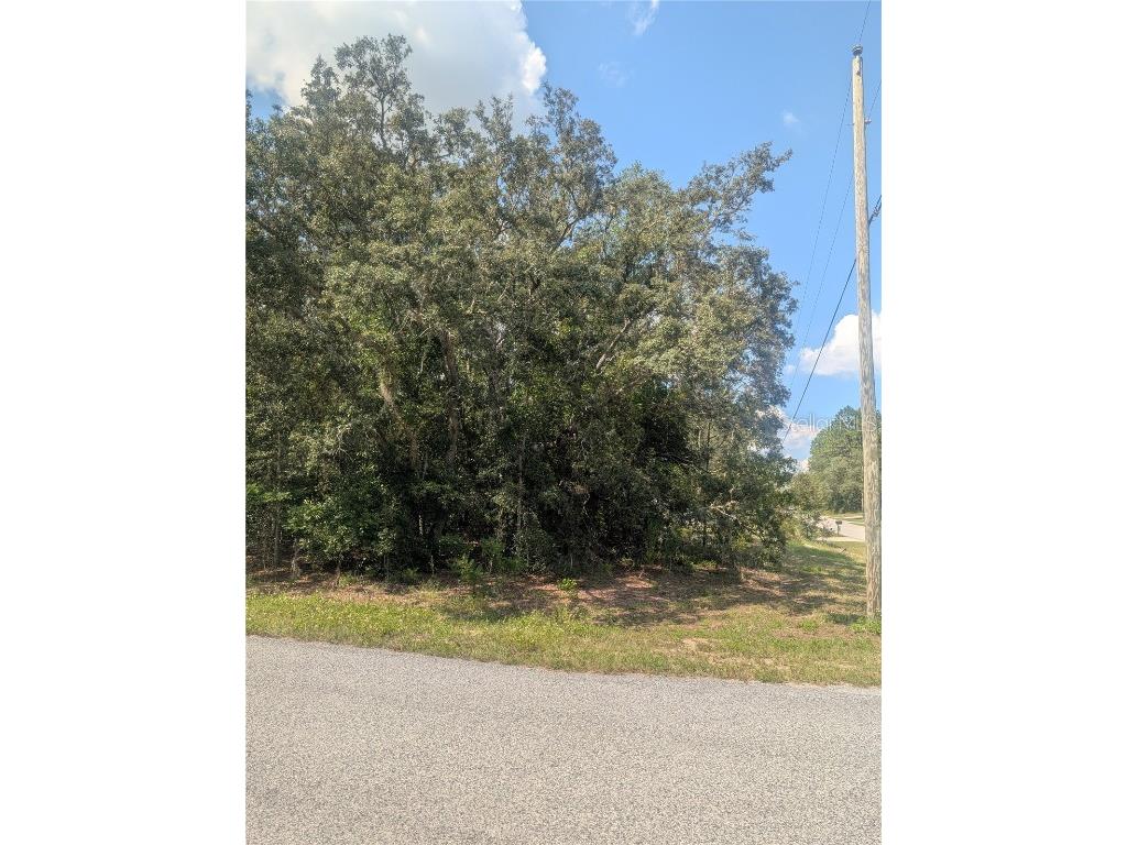 8010 N Primrose Drive Citrus Springs FL 34434 OM710103 image11