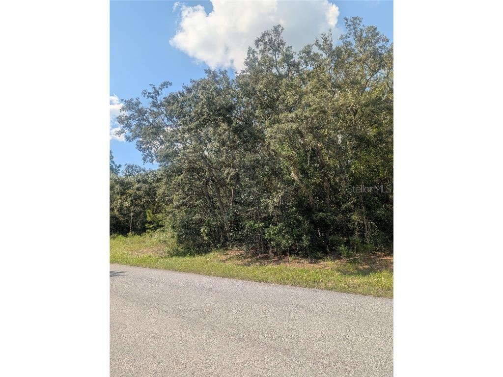 8010 N Primrose Drive Citrus Springs FL 34434 OM710103 image12