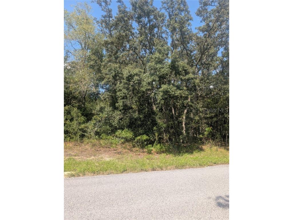 8010 N Primrose Drive Citrus Springs FL 34434 OM710103 image13