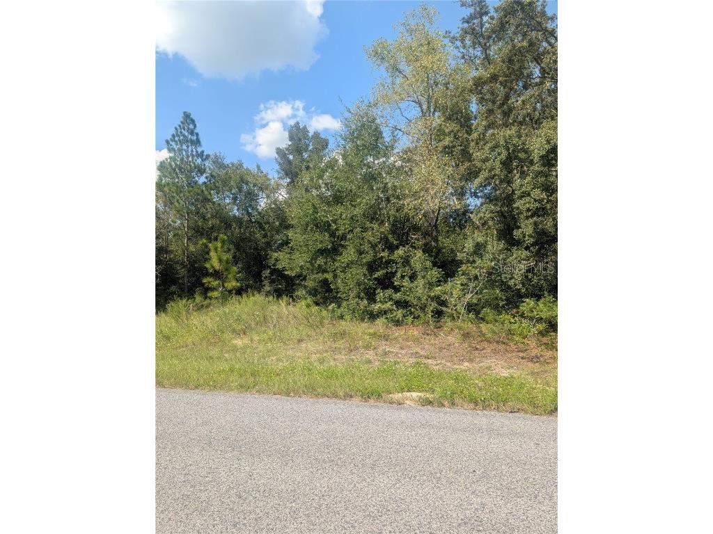 8010 N Primrose Drive Citrus Springs FL 34434 OM710103 image14