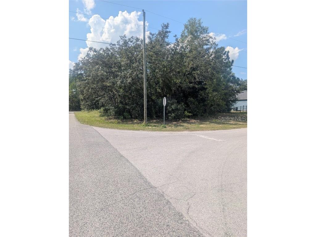 8010 N Primrose Drive Citrus Springs FL 34434 OM710103 image5