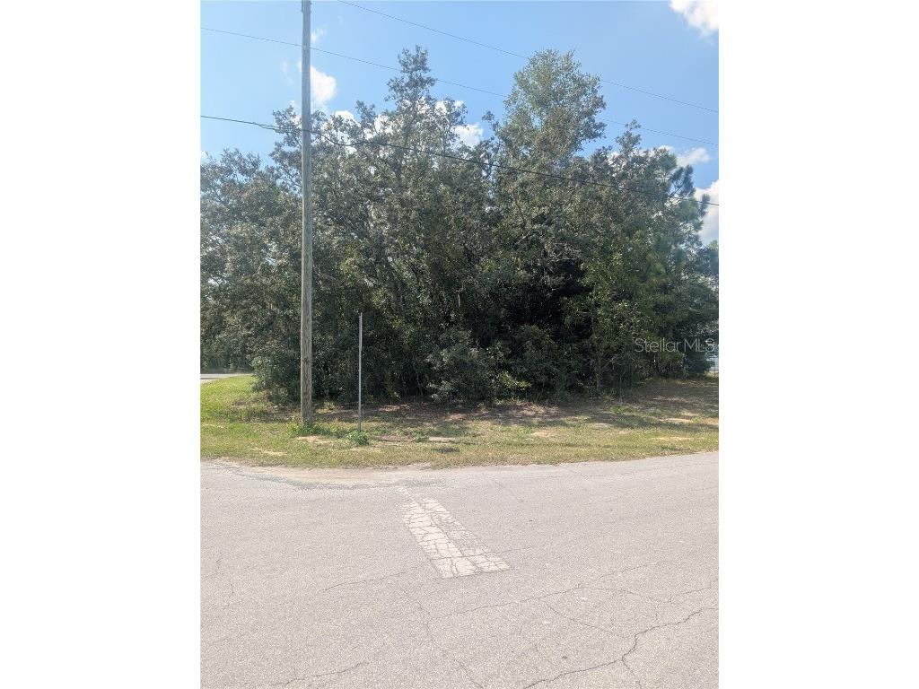 8010 N Primrose Drive Citrus Springs FL 34434 OM710103 image6