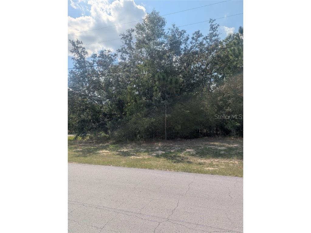 8010 N Primrose Drive Citrus Springs FL 34434 OM710103 image7