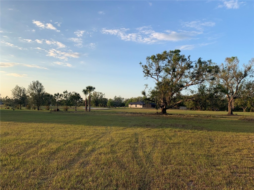 8010 SW Sunny Oaks Drive Arcadia FL 34269 C7471939 image1