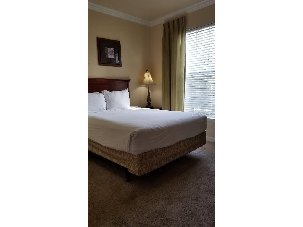 8010 Tuscany Way #5308 Davenport FL 33896 P4930011 image12