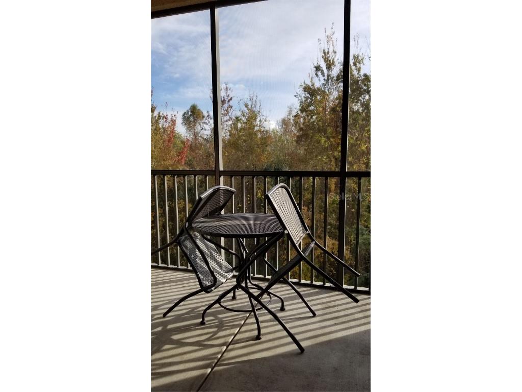 8010 Tuscany Way #5308 Davenport FL 33896 P4930011 image19