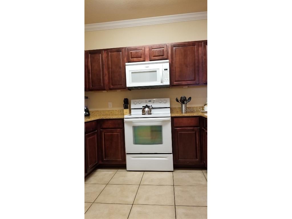 8010 Tuscany Way #5308 Davenport FL 33896 P4930011 image6