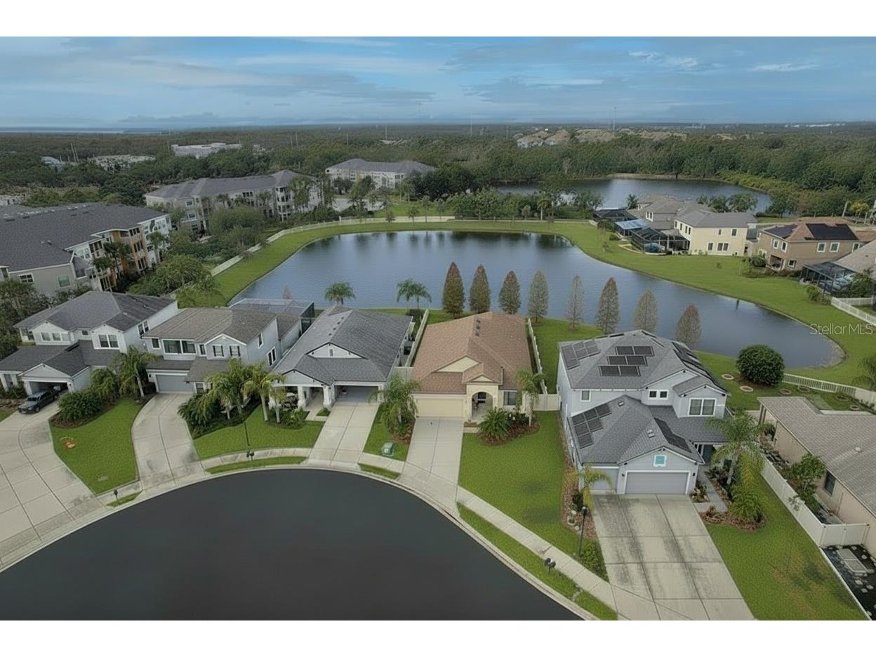 8010 Whitetail Deer Way Tampa FL 33635 TB8466263 image1