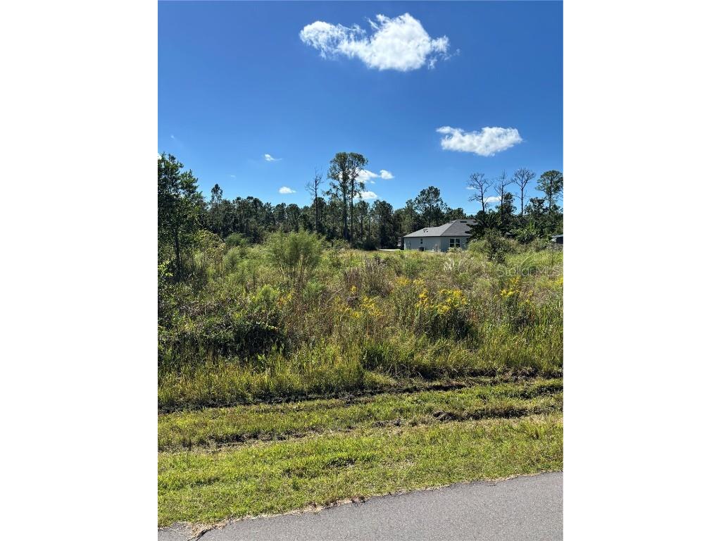 8011 Ancha Street Sebring FL 33872 O6360495 image2