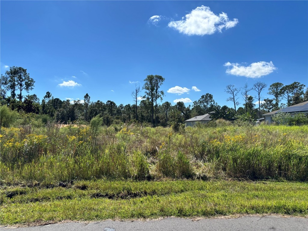 8011 Ancha Street Sebring FL 33872 O6360495 image4