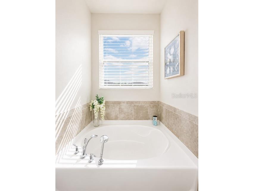 8011 Bushmaster Avenue Orlando FL 32832 O6424276 image10