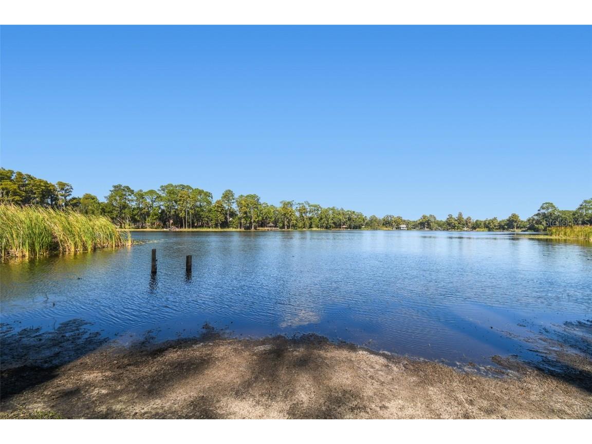 8011 N Mobley Road Odessa FL 33556 W7880556 image10