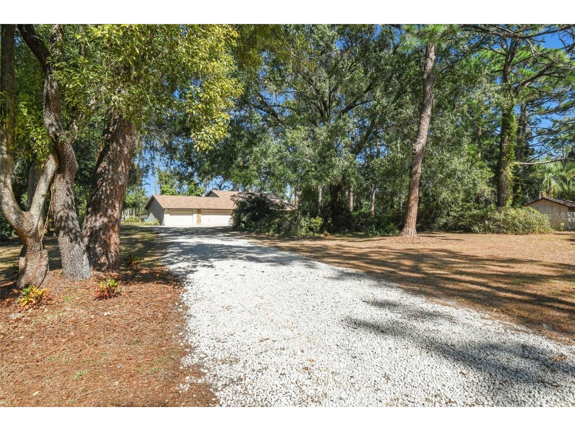 8011 N Mobley Road Odessa FL 33556 W7880556 image18