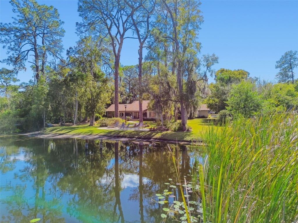 8011 N Mobley Road Odessa FL 33556 W7880556 image3