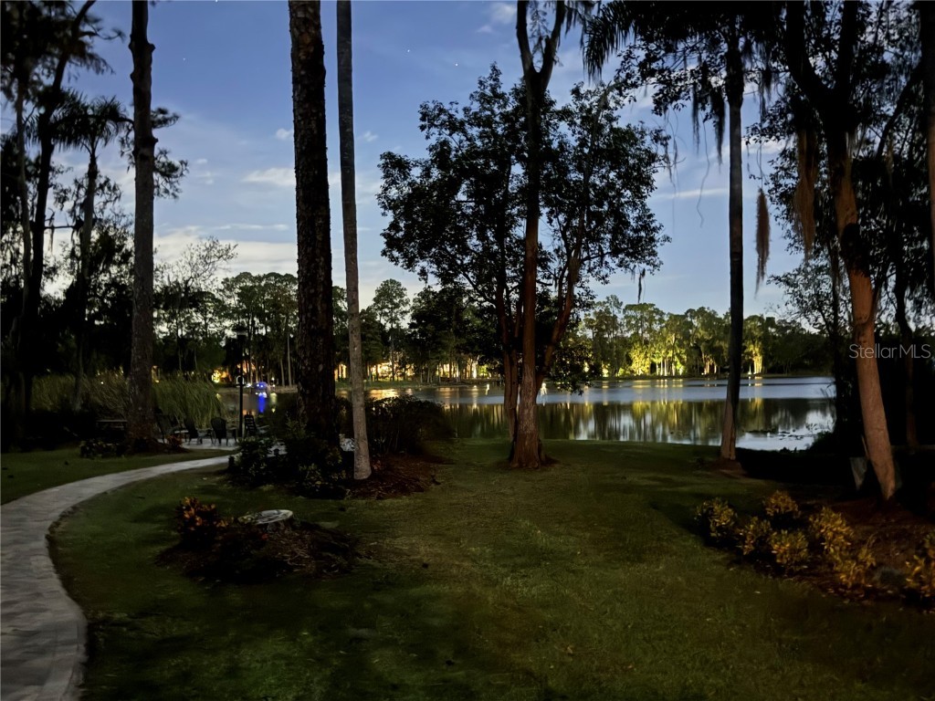 8011 N Mobley Road Odessa FL 33556 W7880556 image6