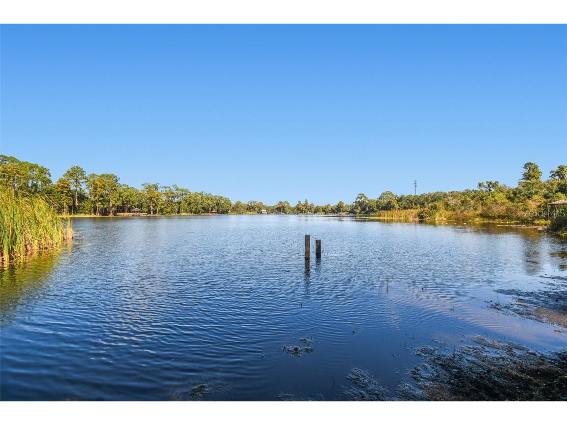 8011 N Mobley Road Odessa FL 33556 W7880556 image72