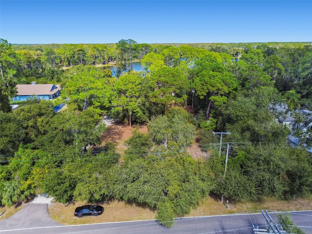 8011 N Mobley Road Odessa FL 33556 W7880556 image76