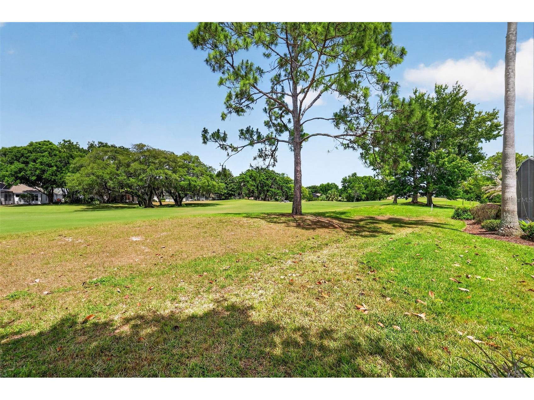 8011 Pine Hollow Drive Mount Dora FL 32757 G5111928 image44