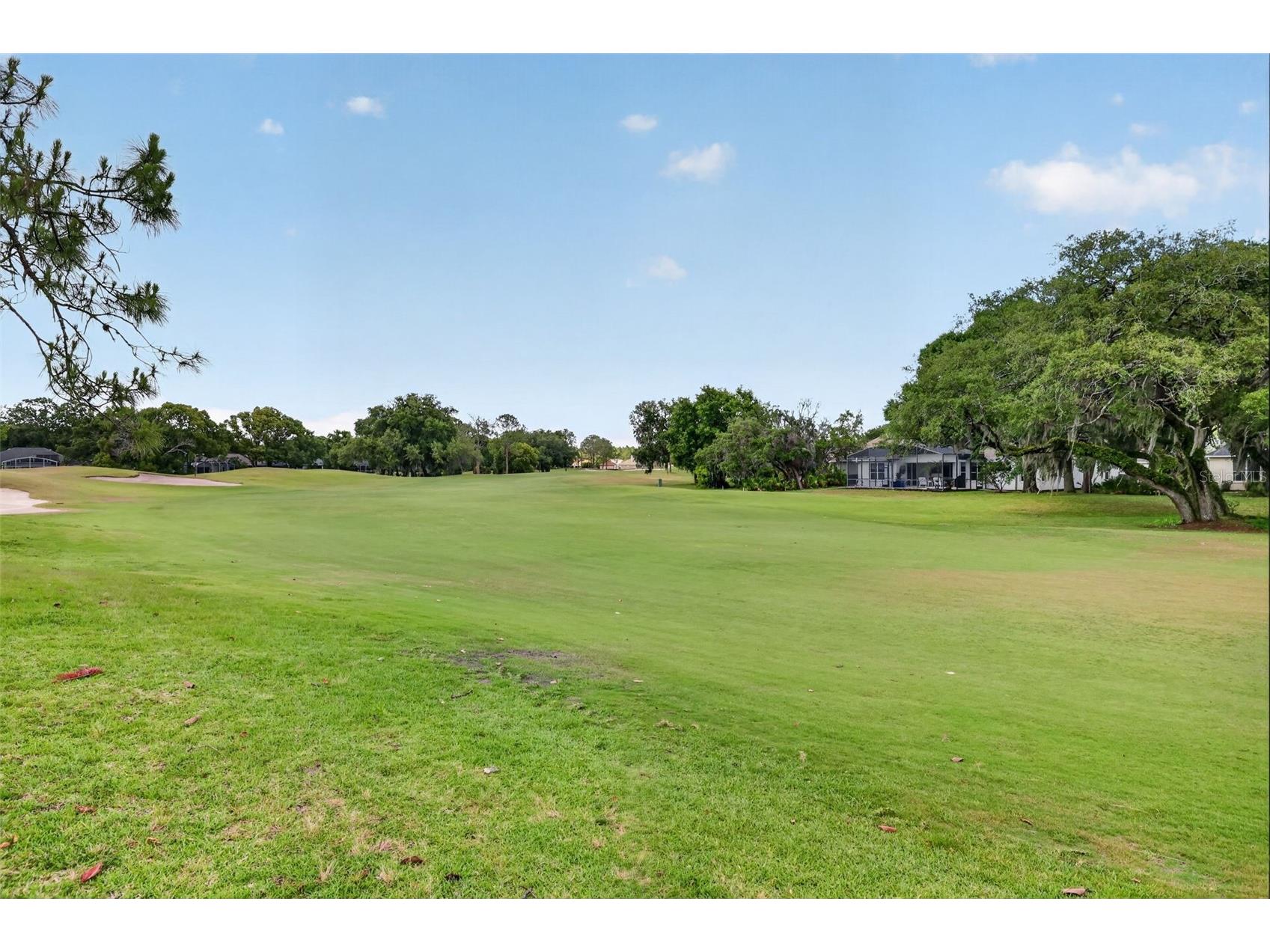 8011 Pine Hollow Drive Mount Dora FL 32757 G5111928 image49