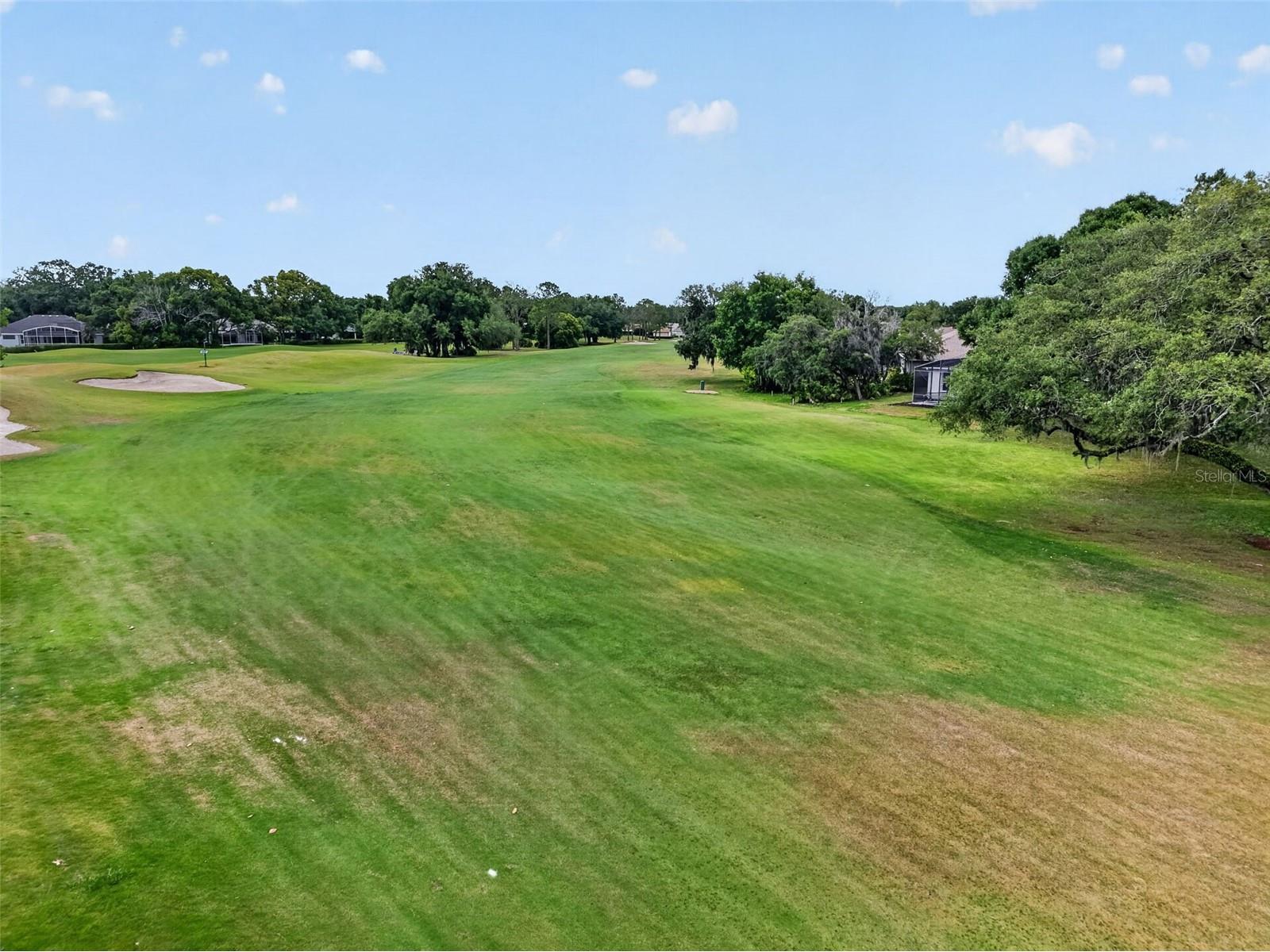 8011 Pine Hollow Drive Mount Dora FL 32757 G5111928 image50