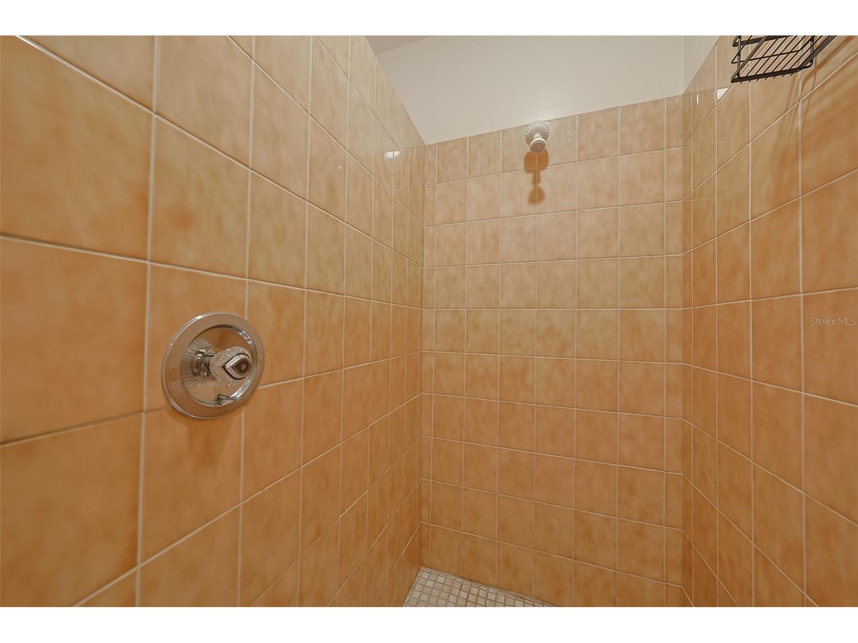 8012 26th Avenue N Saint Petersburg FL 33710 TB8428781 image18