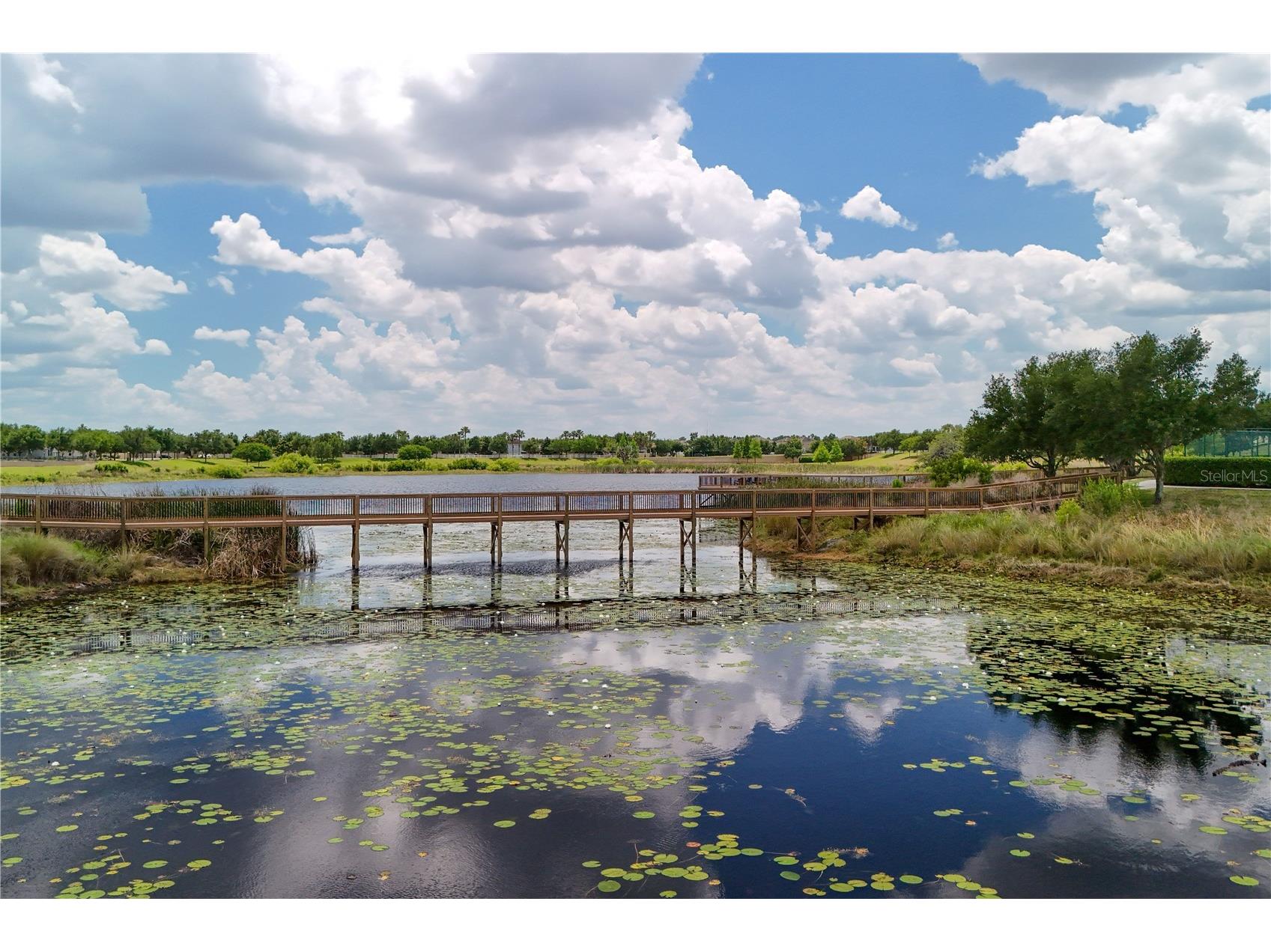 8012 Bluejack Oak Drive Winter Garden FL 34787 FC317938 image37