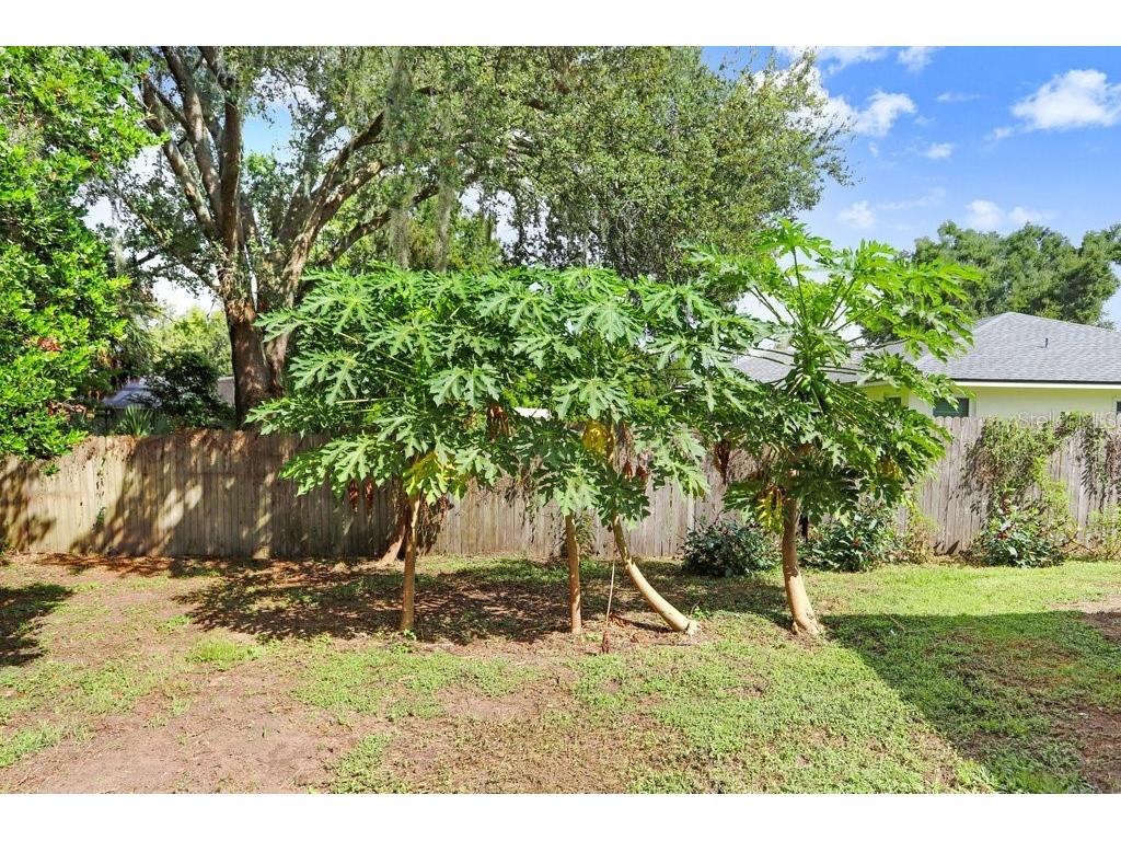8012 Holly Ridge Drive Lakeland FL 33810 TB8432942 image38