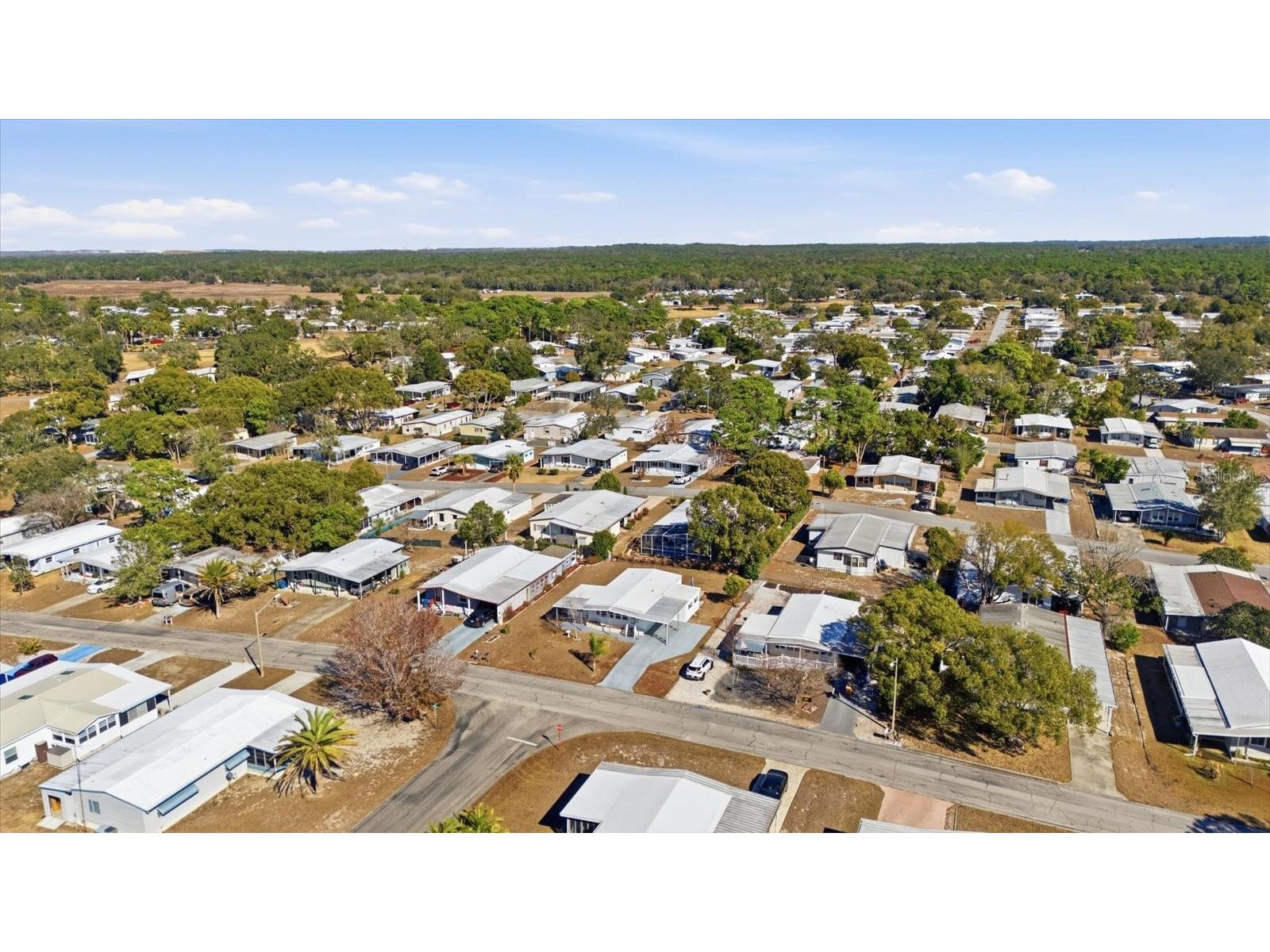 8012 Montrose Avenue Brooksville FL 34613 TB8506981 image25