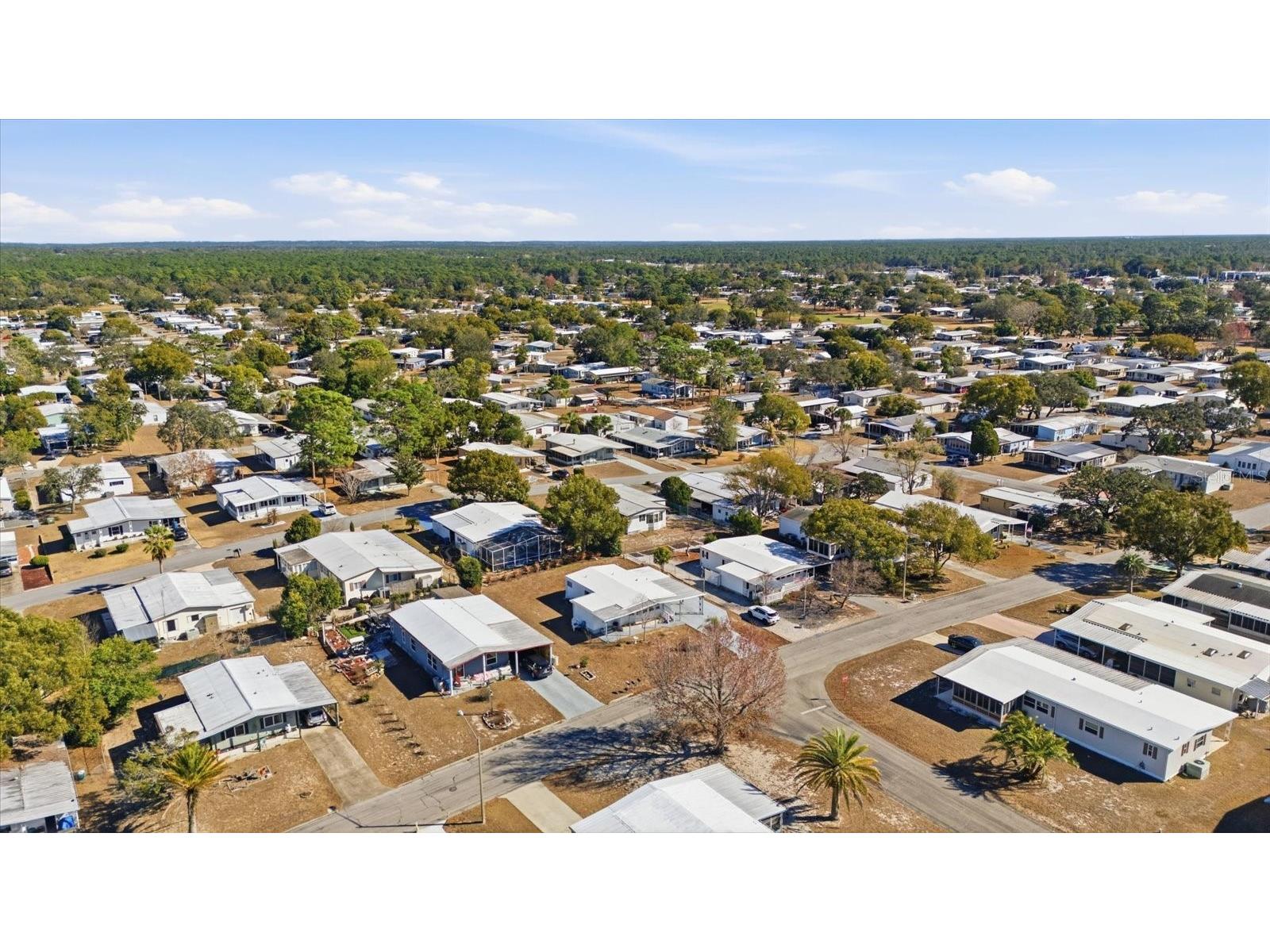8012 Montrose Avenue Brooksville FL 34613 TB8506981 image26