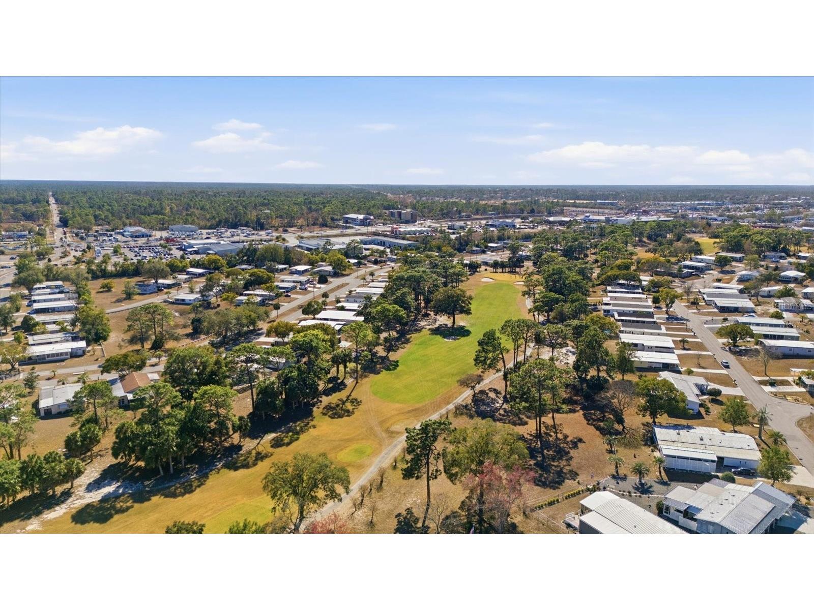 8012 Montrose Avenue Brooksville FL 34613 TB8506981 image29