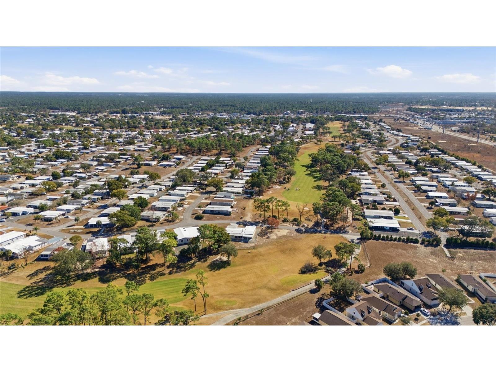 8012 Montrose Avenue Brooksville FL 34613 TB8506981 image31