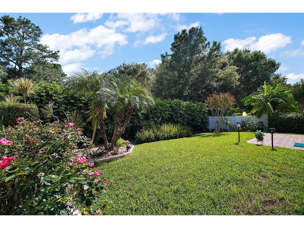 8012 Saint James Way Mount Dora FL 32757 G5100747 image39
