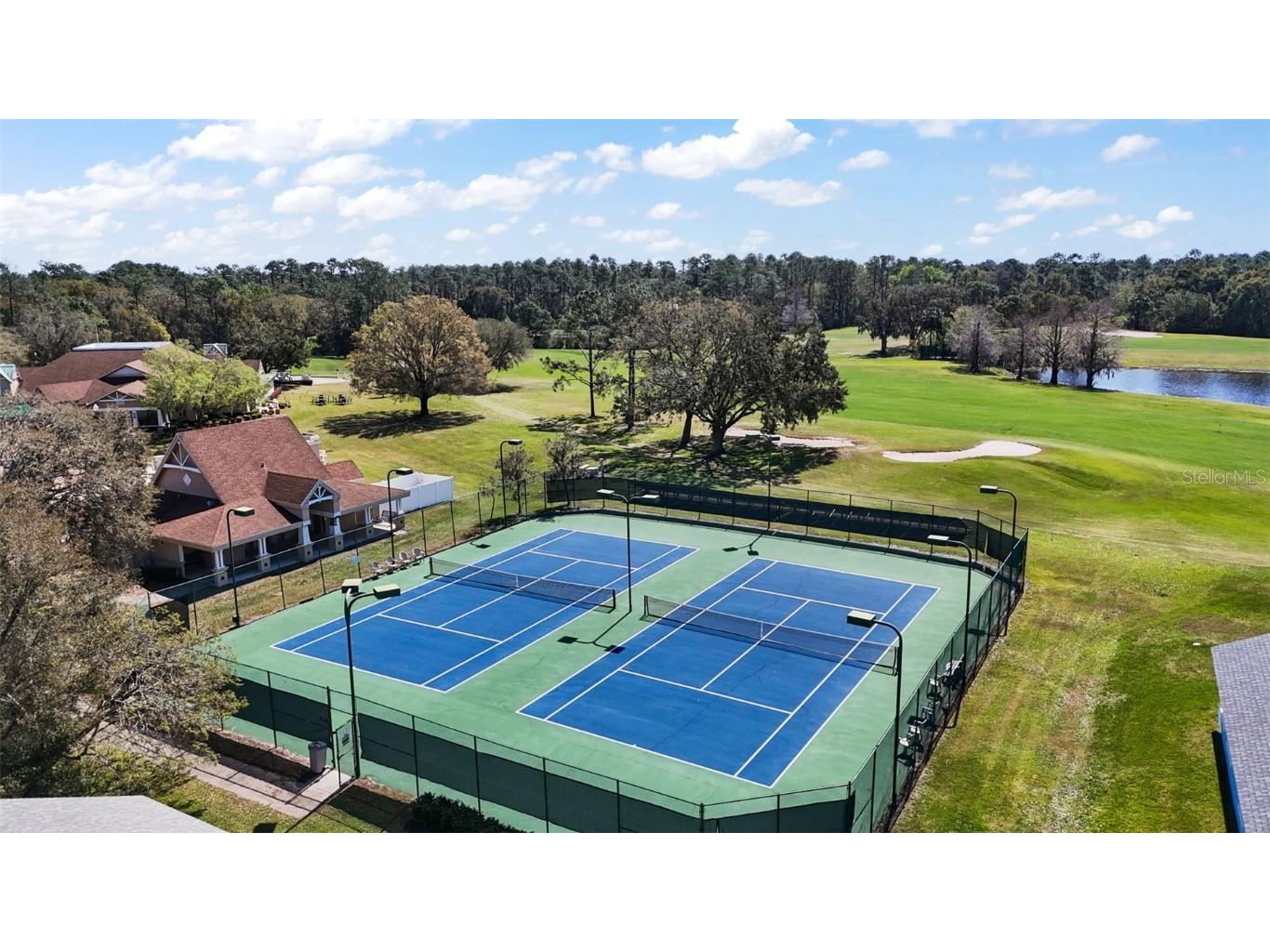 8012 Saint James Way Mount Dora FL 32757 G5100747 image48