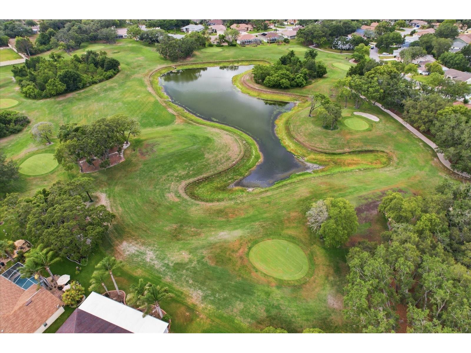 8012 Willow Brook Drive Spring Hill FL 34606 TB8519654 image39