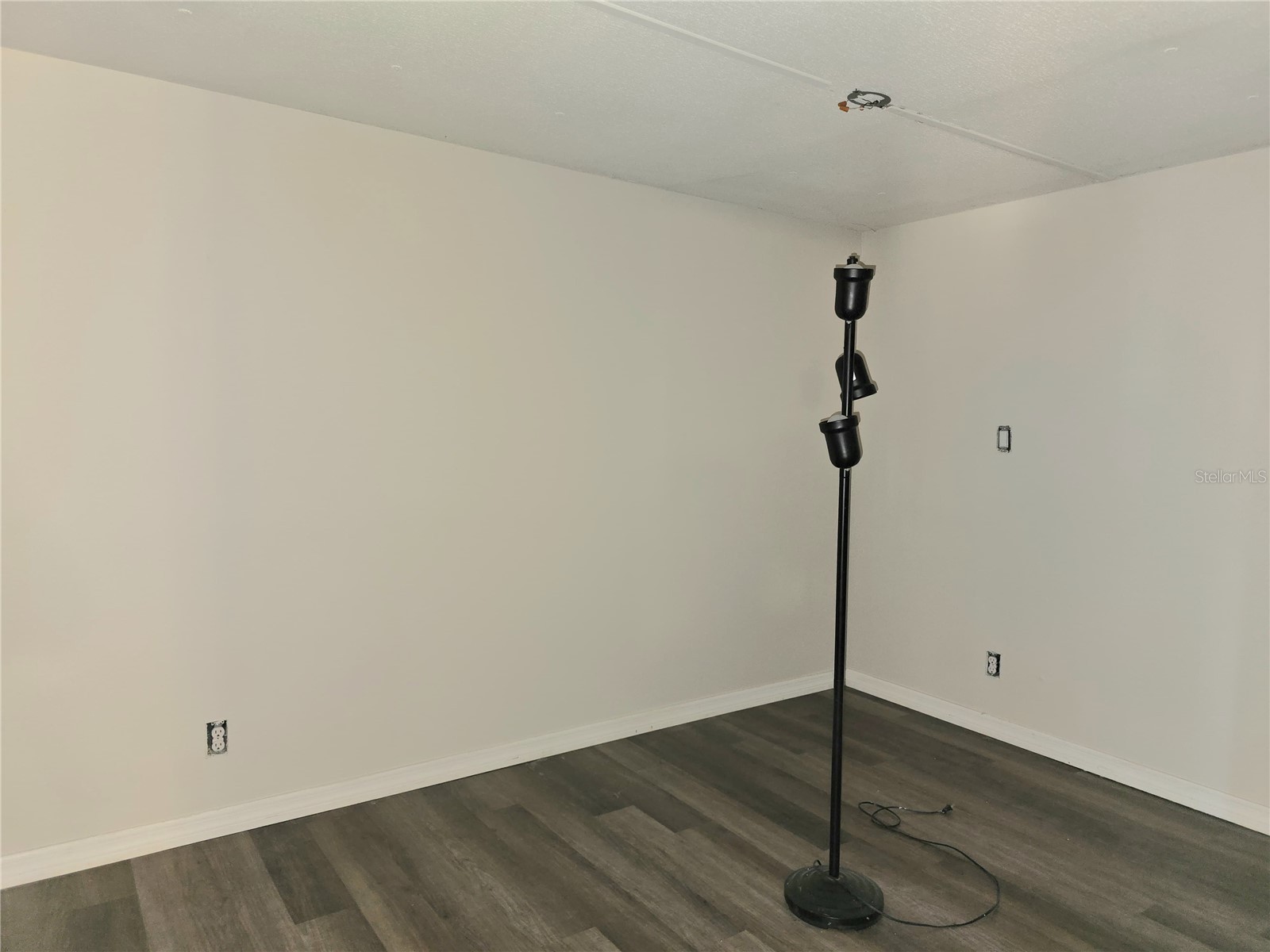 8013 Formby Street Riverview FL 33578 P4937282 image14