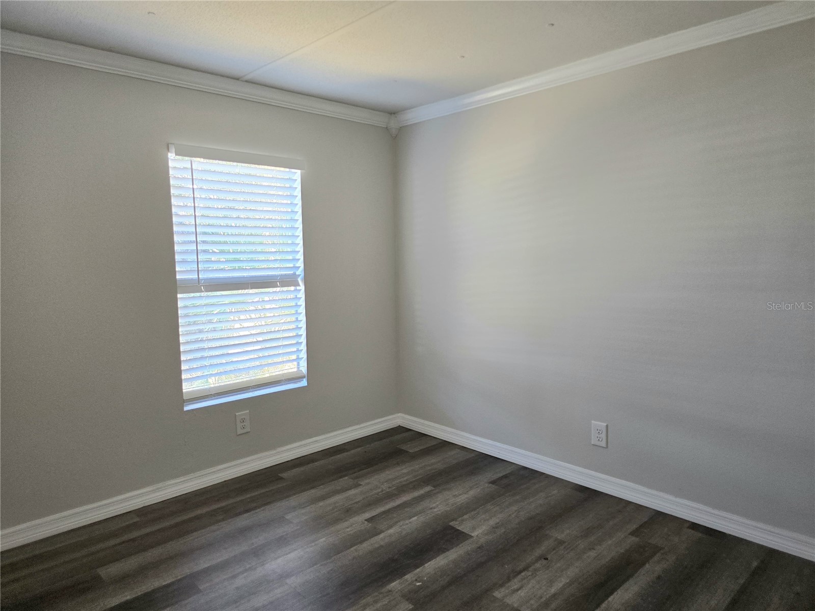 8013 Formby Street Riverview FL 33578 P4937282 image17