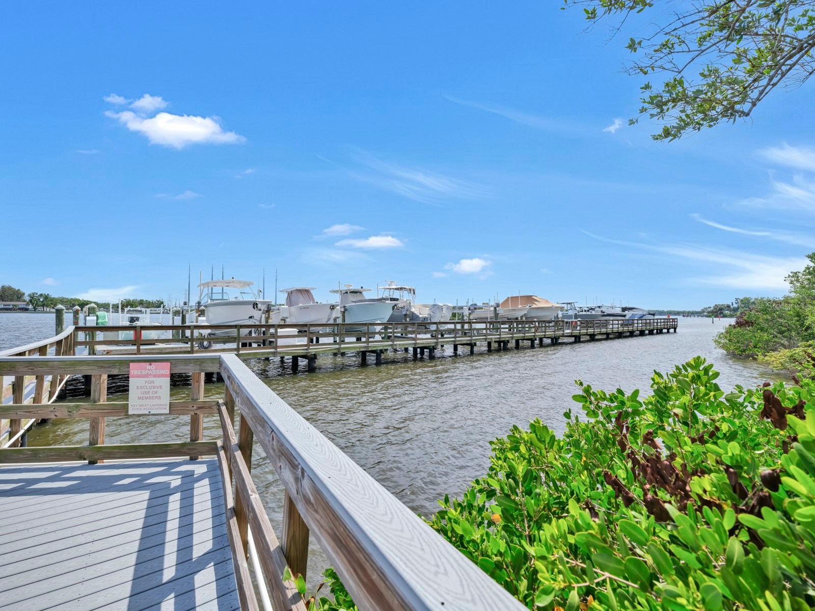 8013 Key West Conch Drive Riverview FL 33578 - ALAFIA RIVER & PRIVATE LAKE TB8499871 image46