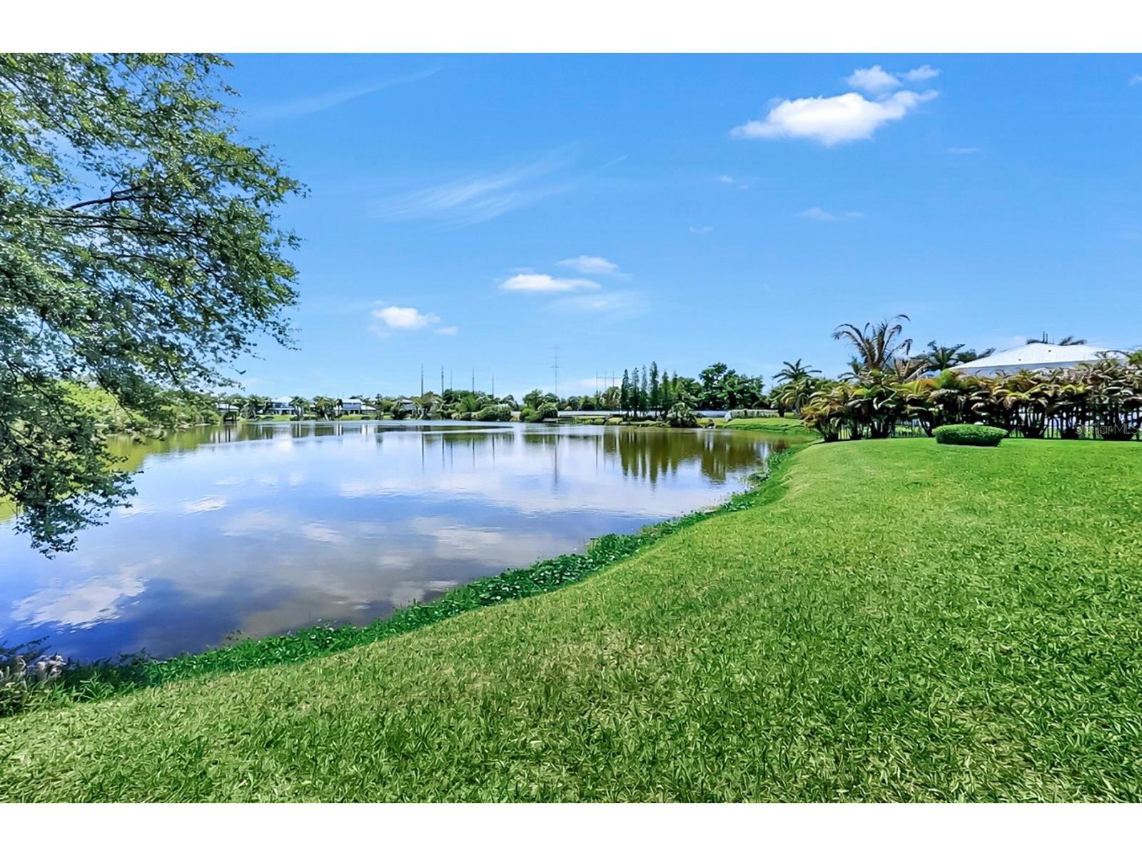 8013 Key West Conch Drive Riverview FL 33578 - ALAFIA RIVER & PRIVATE LAKE TB8499871 image52
