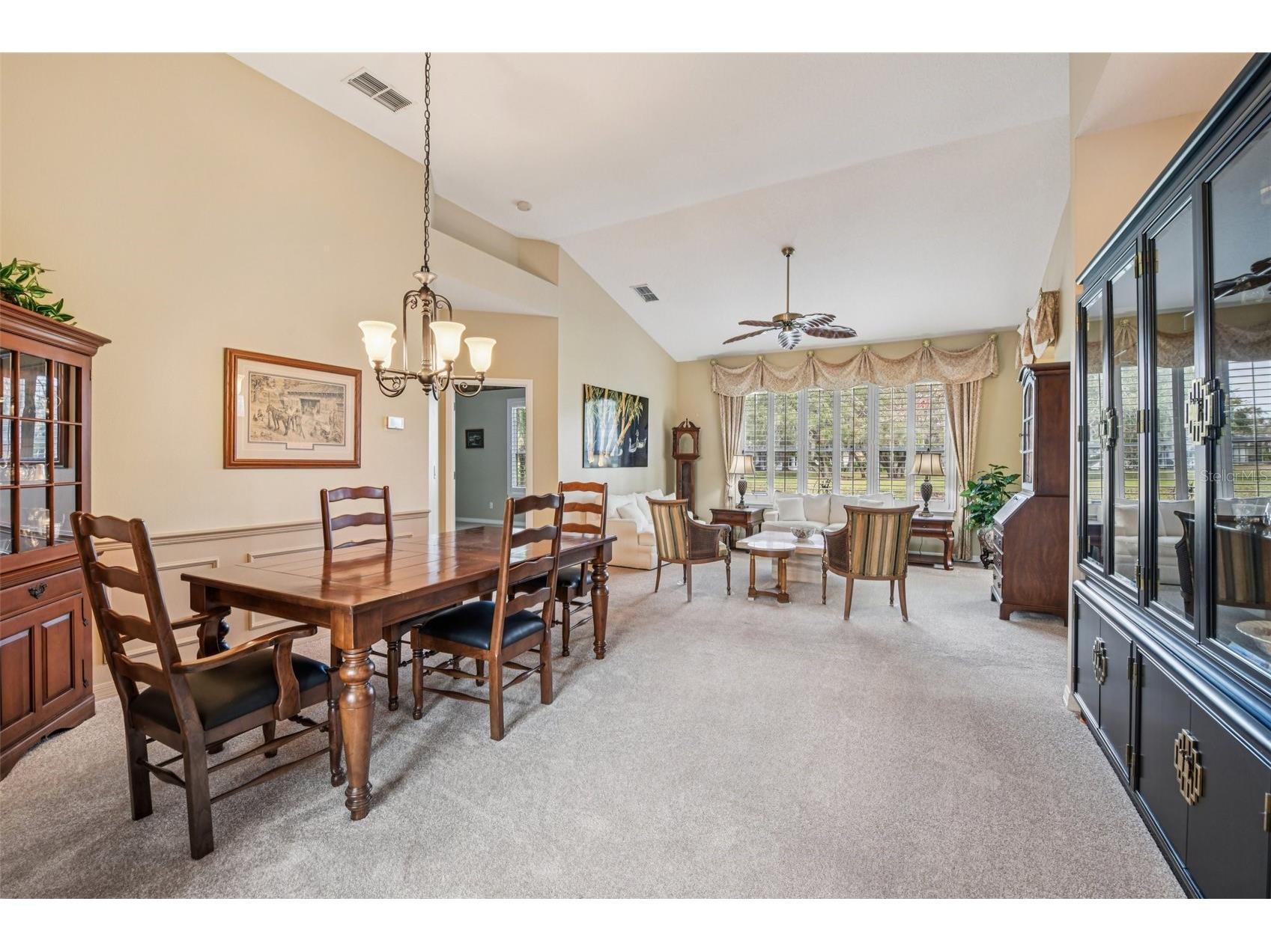 8013 Pine Hollow Drive Mount Dora FL 32757 G5106558 image12